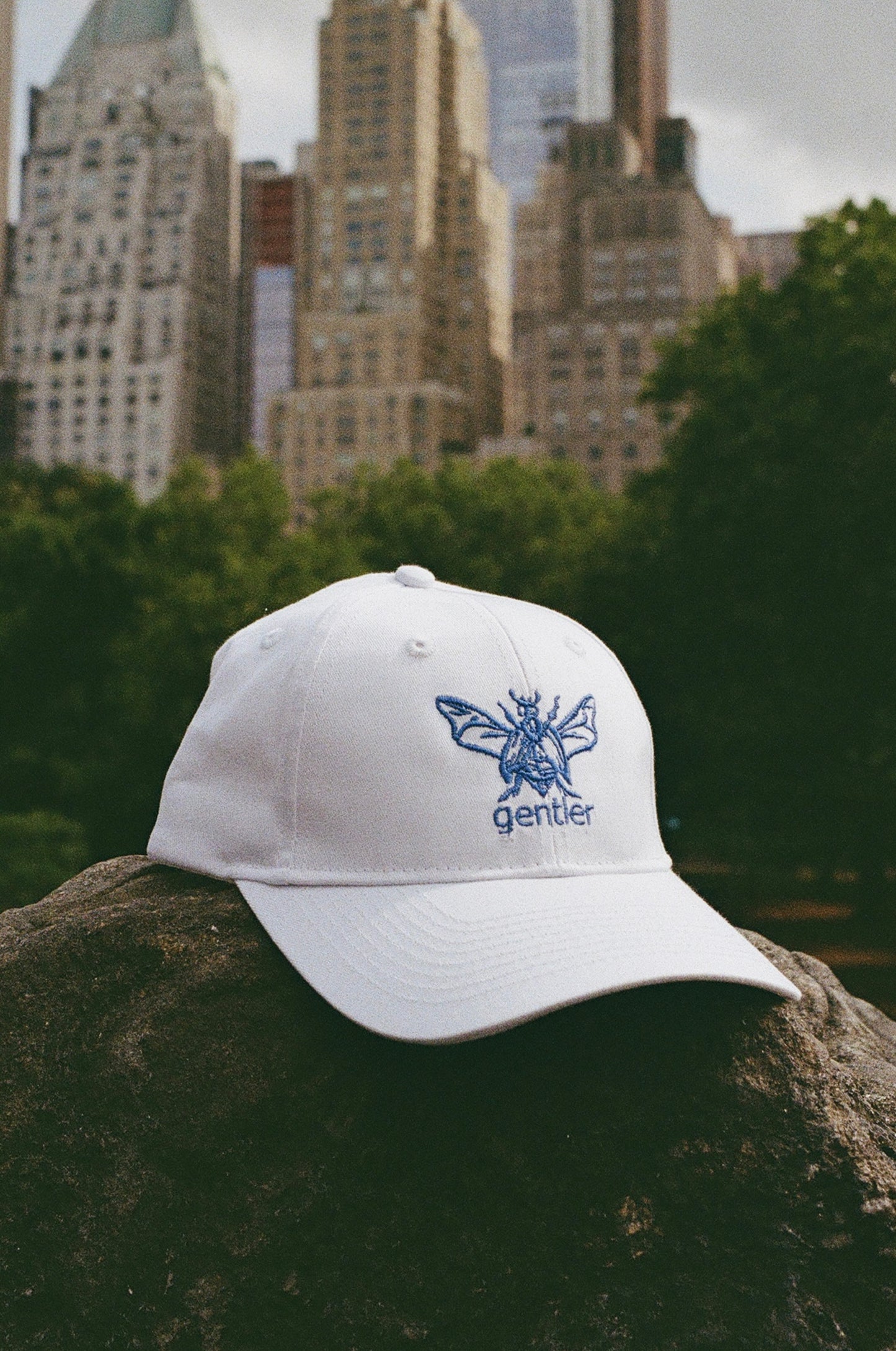 Gentler Still Embroidered Beetle Cap